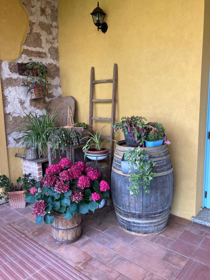 Agriturismo Is Conchisceddas Gonnosfanàdiga المظهر الخارجي الصورة