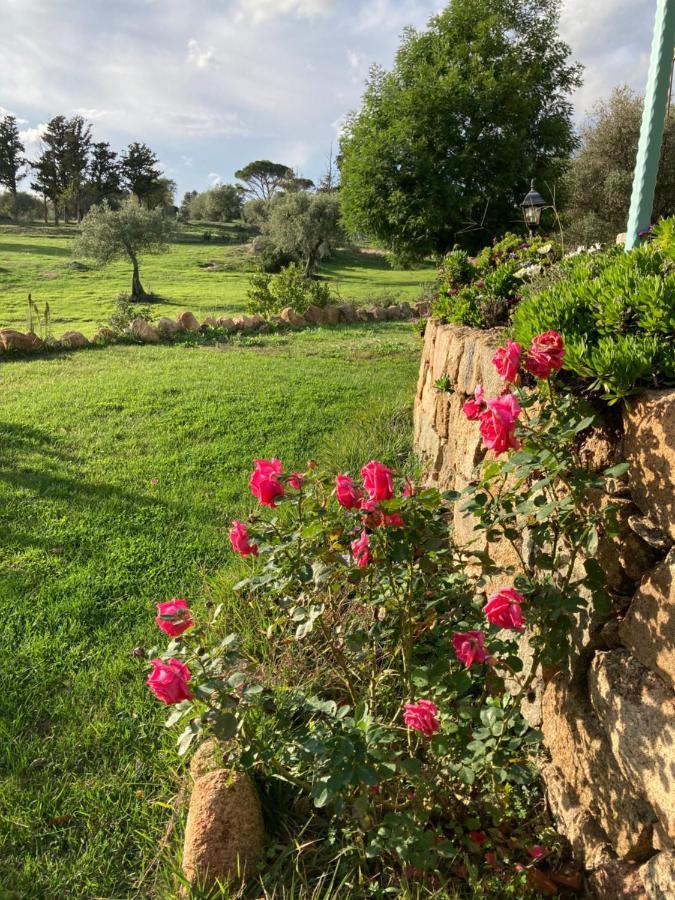 Agriturismo Is Conchisceddas Gonnosfanàdiga المظهر الخارجي الصورة