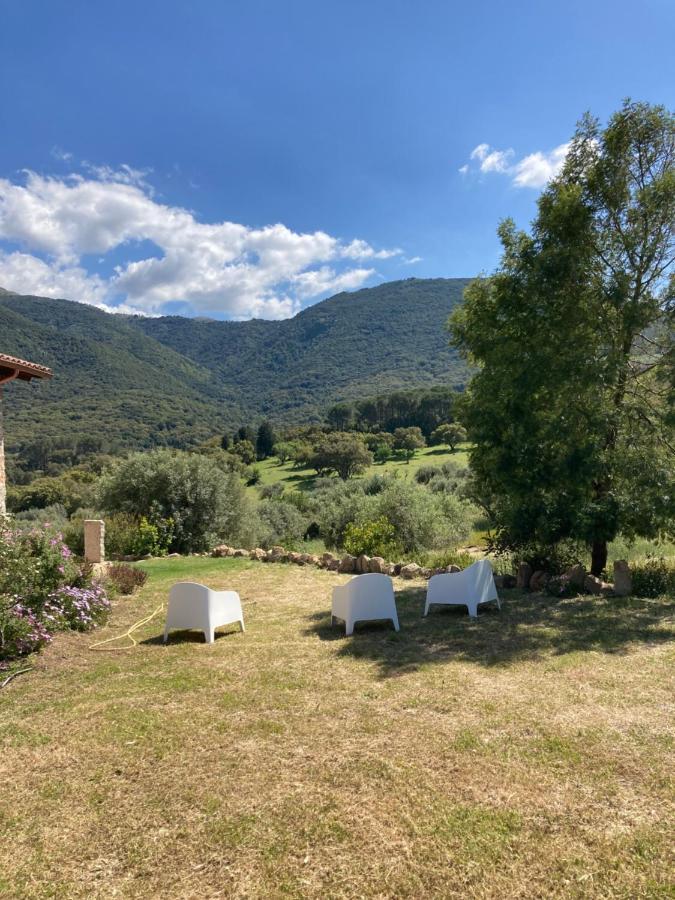 Agriturismo Is Conchisceddas Gonnosfanàdiga المظهر الخارجي الصورة