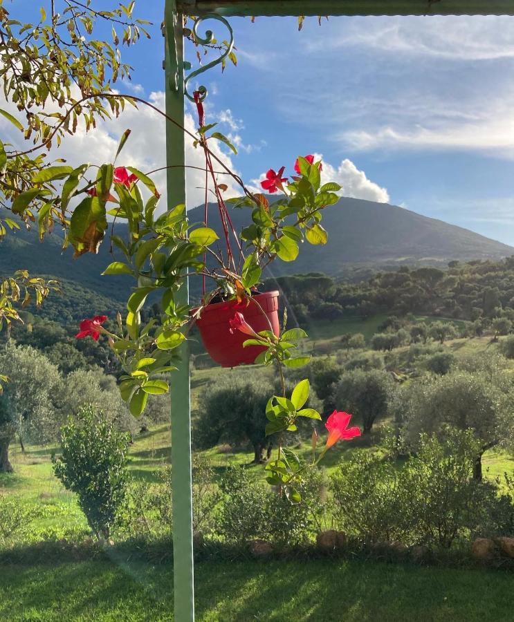 Agriturismo Is Conchisceddas Gonnosfanàdiga المظهر الخارجي الصورة