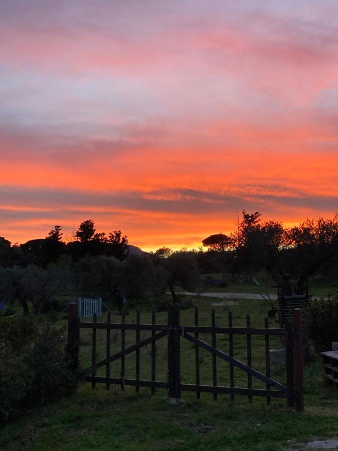 Agriturismo Is Conchisceddas Gonnosfanàdiga المظهر الخارجي الصورة