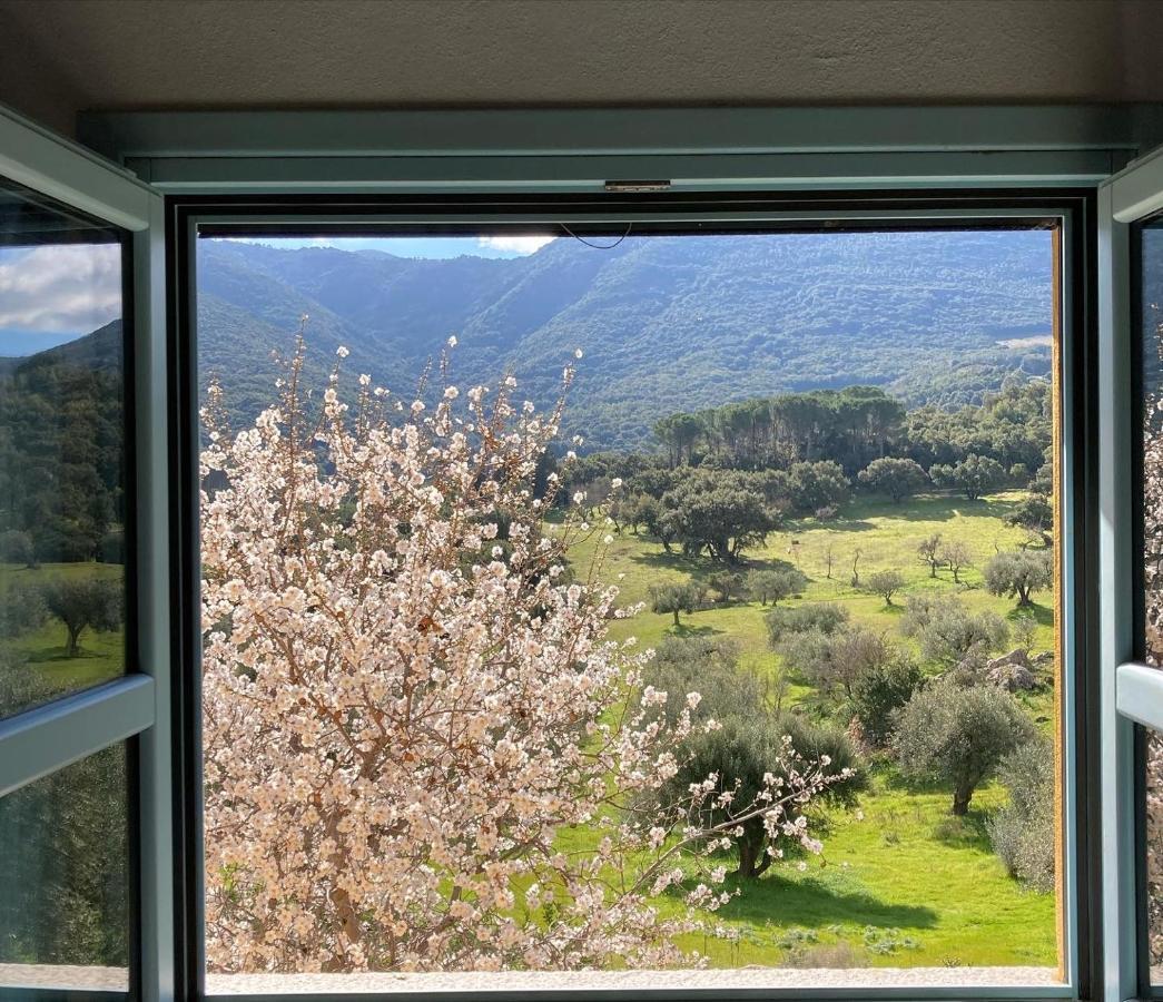 Agriturismo Is Conchisceddas Gonnosfanàdiga المظهر الخارجي الصورة
