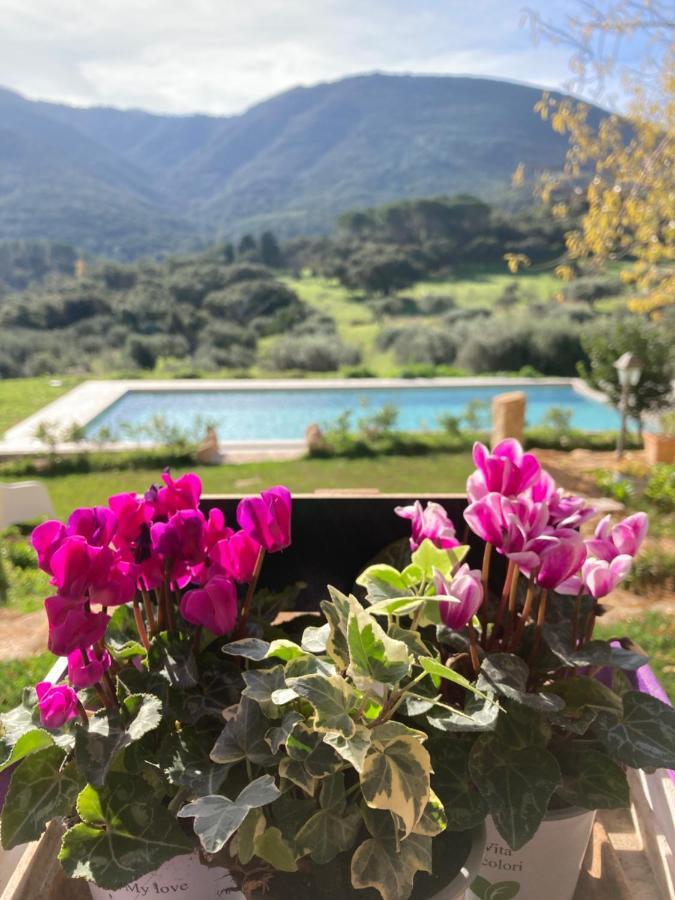 Agriturismo Is Conchisceddas Gonnosfanàdiga المظهر الخارجي الصورة