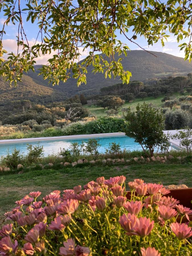 Agriturismo Is Conchisceddas Gonnosfanàdiga المظهر الخارجي الصورة