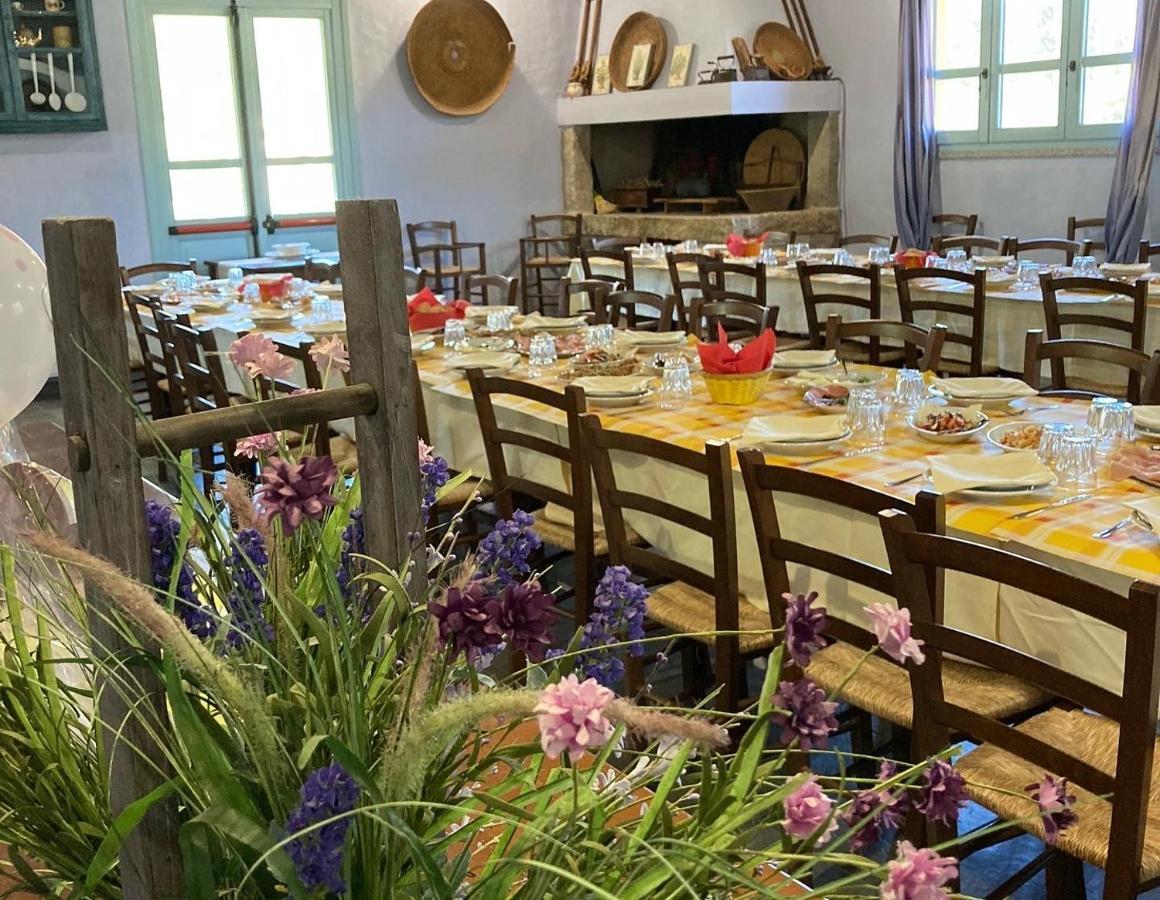 Agriturismo Is Conchisceddas Gonnosfanàdiga المظهر الخارجي الصورة