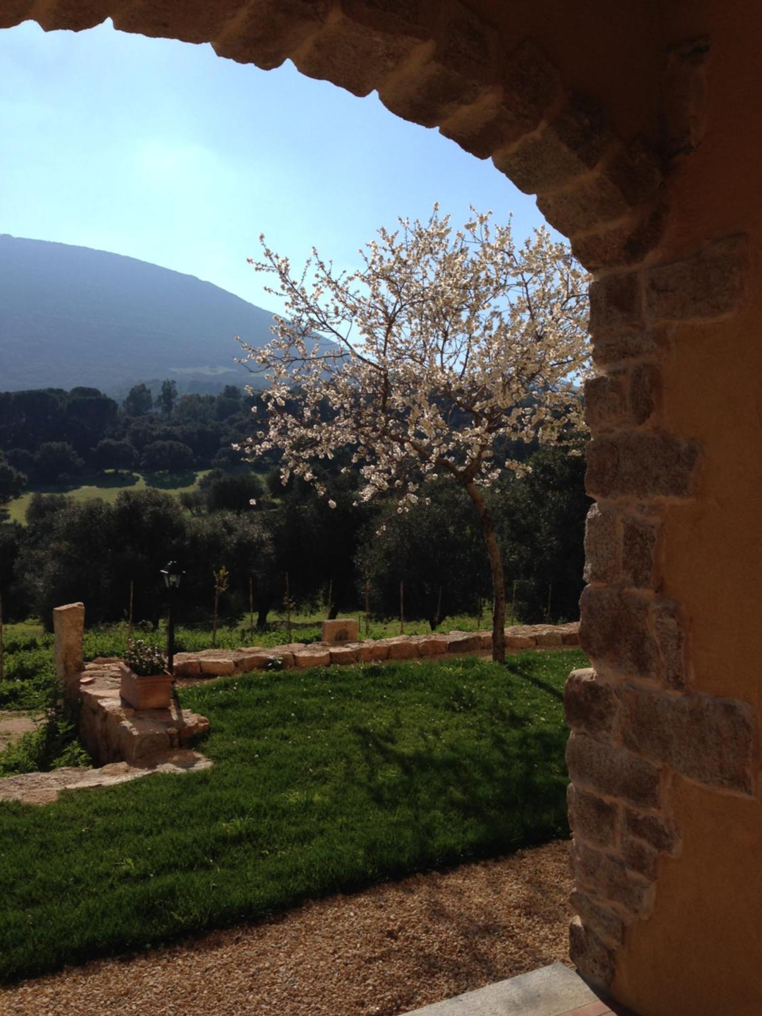 Agriturismo Is Conchisceddas Gonnosfanàdiga المظهر الخارجي الصورة