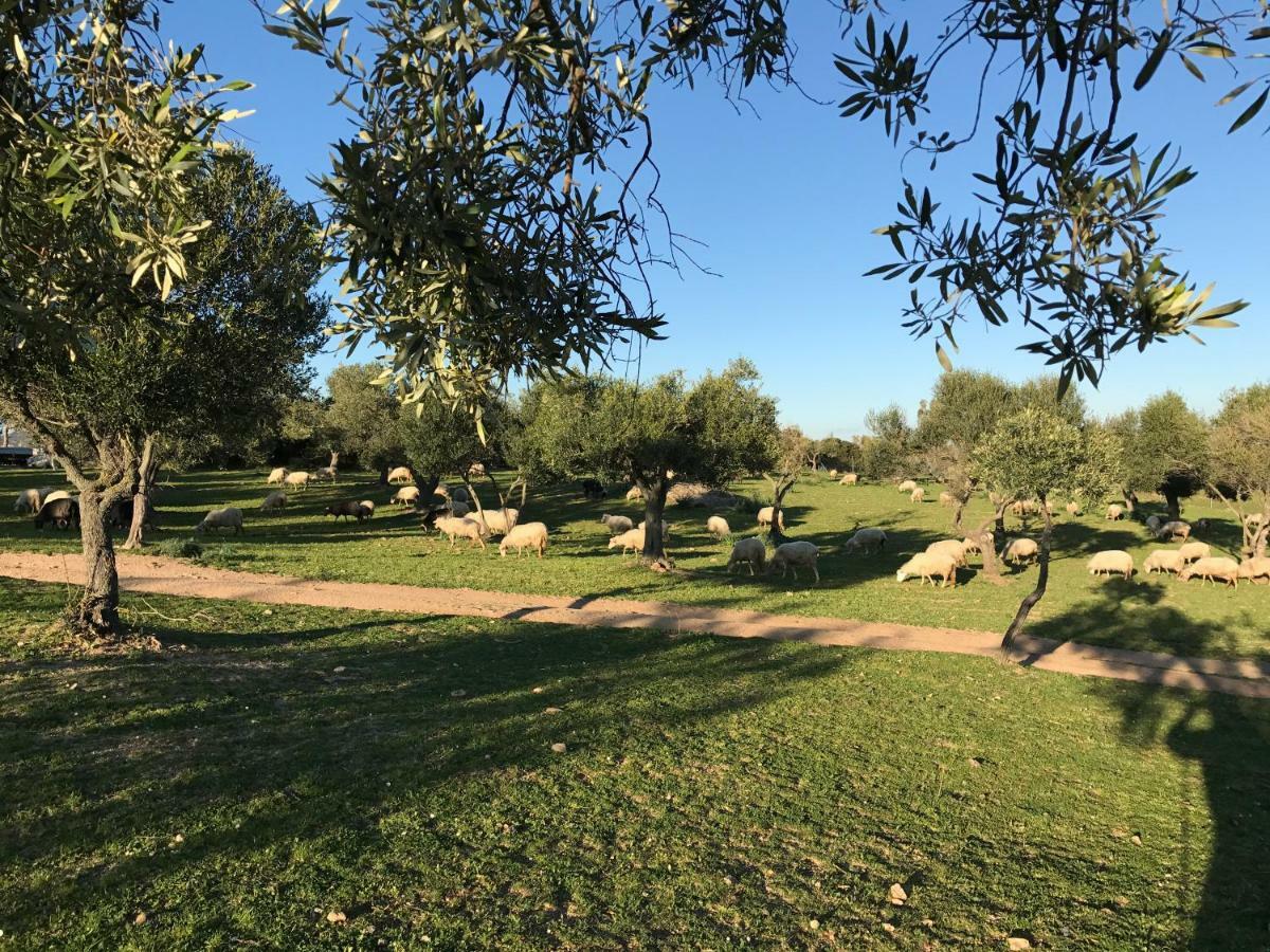 Agriturismo Is Conchisceddas Gonnosfanàdiga المظهر الخارجي الصورة