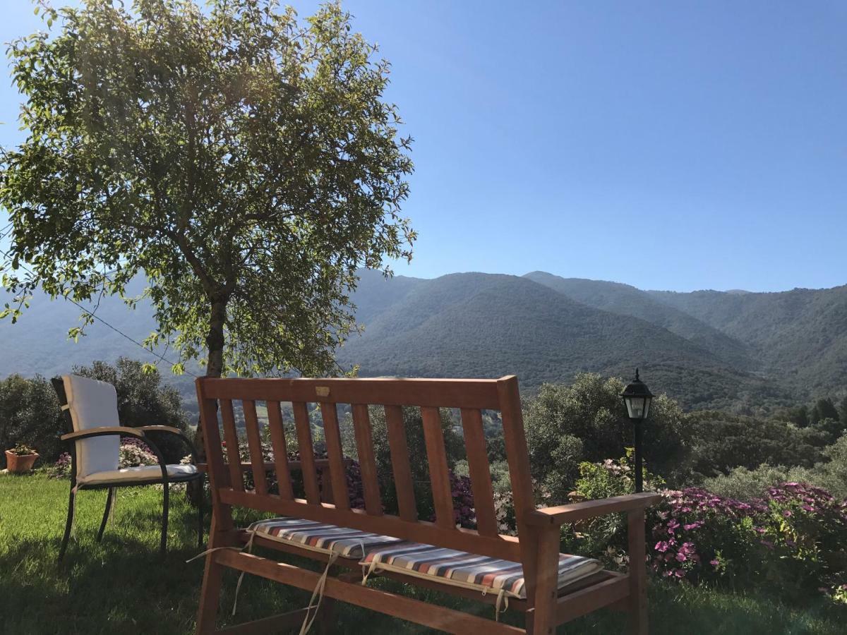 Agriturismo Is Conchisceddas Gonnosfanàdiga المظهر الخارجي الصورة